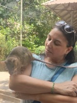 Sweet Siem Reap