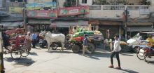 Adieu Delhi